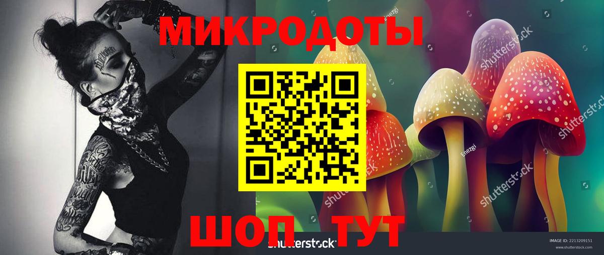 Псилоцибиновые грибы Psilocybe  даркнет сайт  Владикавказ  Вход с VPN  Псилоцибиновые грибы мицелий 