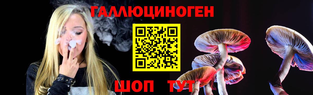 Псилоцибиновые грибы Psilocybine cubensis Владикавказ